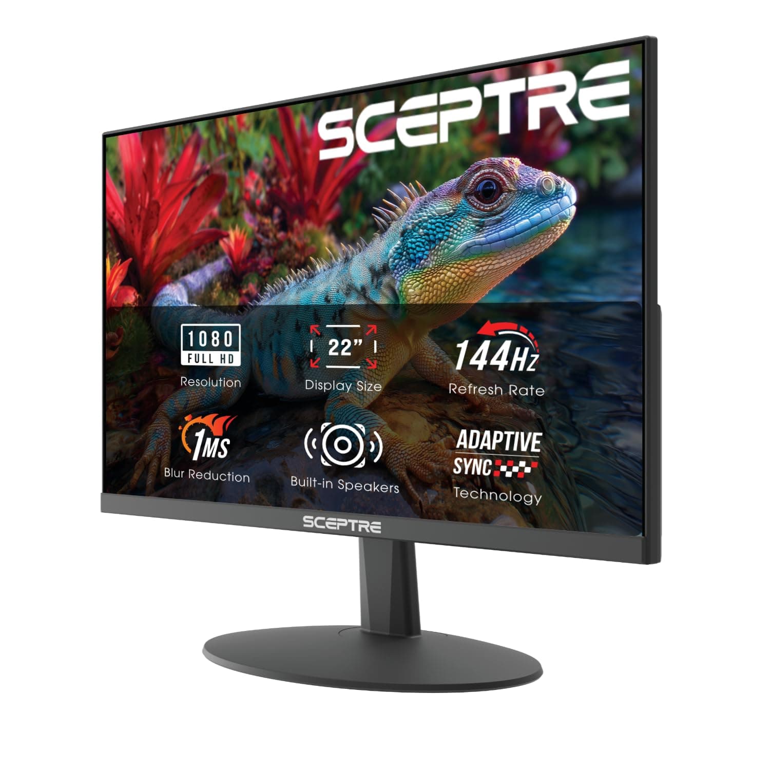 Sceptre — Computer Monitor